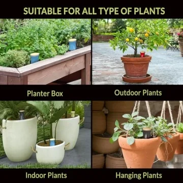 SmartiLiving Ollas | 12oz Terracotta Self Watering Globes