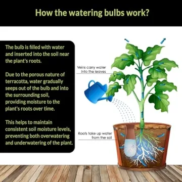 SmartiLiving Ollas | 12oz Terracotta Self Watering Globes