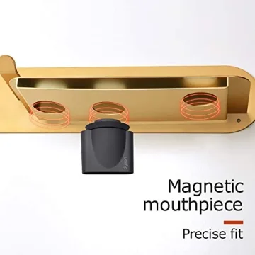 Stylish FLE Gold Hair Dryer Holder with Shelf