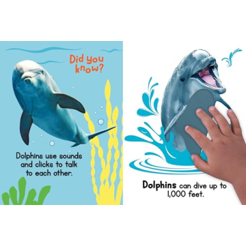 Ocean Friends Touch and Feel Board Book for Kids