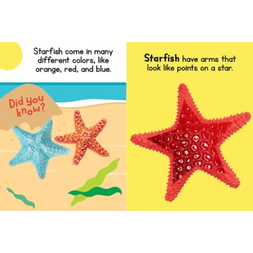 Ocean Friends Touch and Feel Board Book for Kids