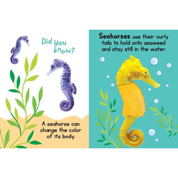 Ocean Friends Touch and Feel Board Book for Kids