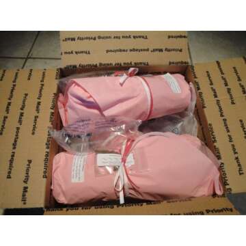 Collection of The Four Best Clean Air Plants for Your Home in Four Inch Pots