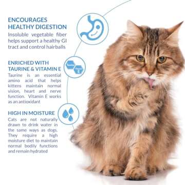 INABA Churu Hairball Control Lickable Cat Treats - Tuna