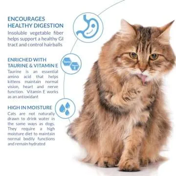 INABA Churu Hairball Control Lickable Cat Treats - Tuna