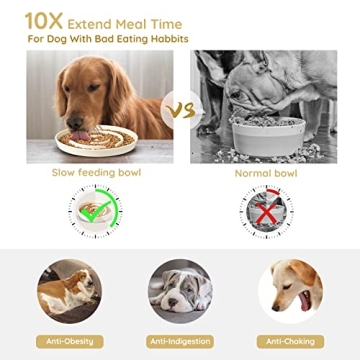 Ceramic Elevated Slow Feeder Dog Bowl for Medium Breeds