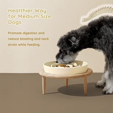 Ceramic Elevated Slow Feeder Dog Bowl for Medium Breeds