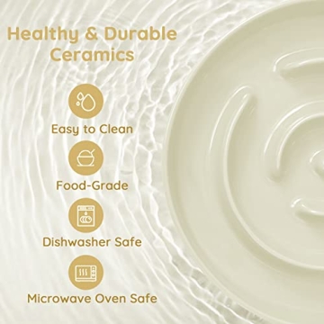 Ceramic Elevated Slow Feeder Dog Bowl for Medium Breeds