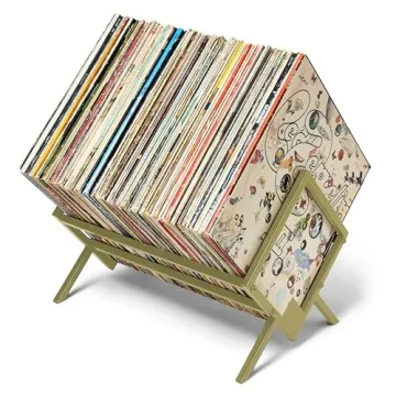 MODERN VINYL Record Holder - Gold Metal - 80-100 LP Storage - Simple, Quick Assembly - Vinyl Display...