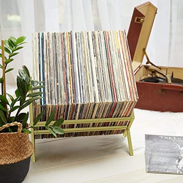MODERN VINYL Record Holder for Stylish LP Storage