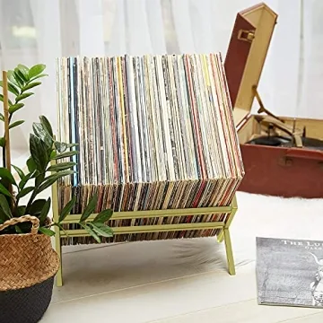 MODERN VINYL Record Holder for Stylish LP Storage