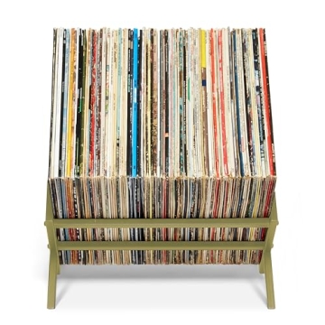 MODERN VINYL Record Holder for Stylish LP Storage