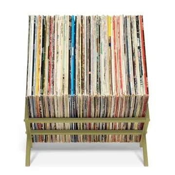 MODERN VINYL Record Holder for Stylish LP Storage