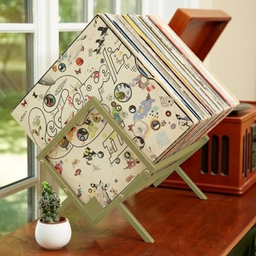 MODERN VINYL Record Holder for Stylish LP Storage