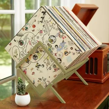 MODERN VINYL Record Holder for Stylish LP Storage