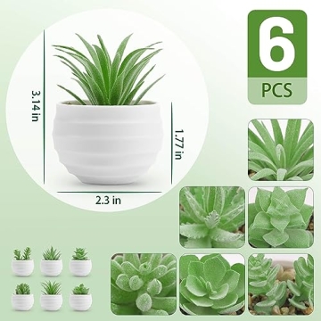 Der Rose 6 Pack Fake Succulents for Indoor Decor