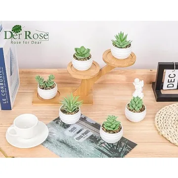 Der Rose 6 Pack Fake Succulents for Indoor Decor