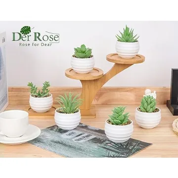 Der Rose 6 Pack Fake Succulents for Indoor Decor