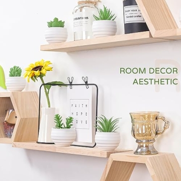 Der Rose 6 Pack Fake Succulents for Indoor Decor