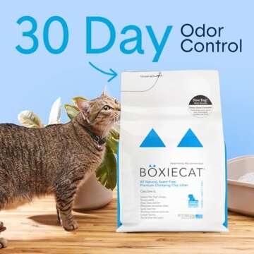 Boxie® Unscented 30 Day Natural Odor Control Cat Litter, 40lb Clumping Clay Kitty Litter