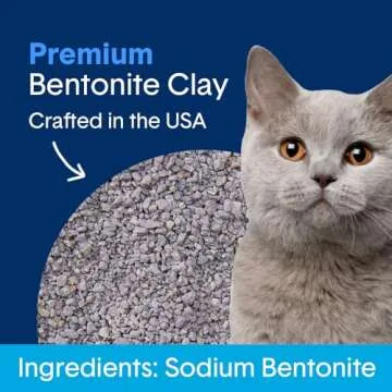 Boxie® Unscented 30 Day Natural Odor Control Cat Litter, 40lb Clumping Clay Kitty Litter