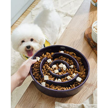 LE TAUCI Slow Feeder Ceramic Dog Bowl for Fast Eaters