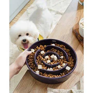 LE TAUCI Slow Feeder Ceramic Dog Bowl for Fast Eaters