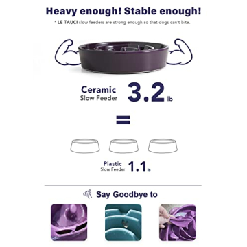 LE TAUCI Slow Feeder Ceramic Dog Bowl for Fast Eaters