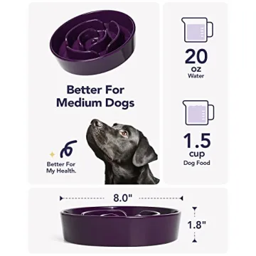 LE TAUCI Slow Feeder Ceramic Dog Bowl for Fast Eaters