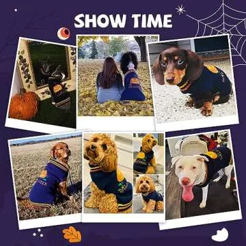 Pumpkin Halloween Dog Sweater for All Pets by DOGGYZSTYLE