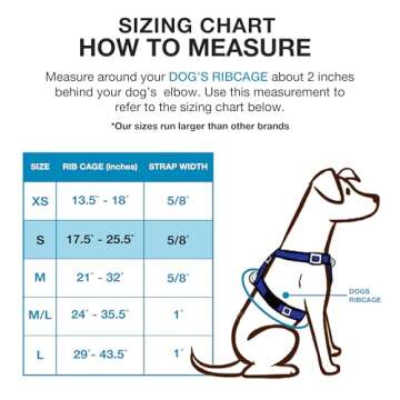 Blue-9 Buckle-Neck Balance Harness, Fully Customizable Fit No-Pull Harness, Ideal for Dog Training a...