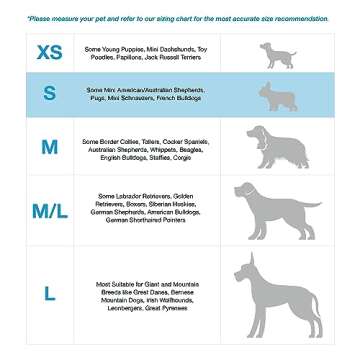 Blue-9 Adjustable No-Pull Harness for Dogs