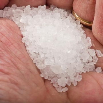 Le Saunier De Camargue Fleur De Sel Quality Sea Salt