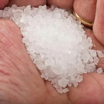 Le Saunier De Camargue Fleur De Sel Quality Sea Salt