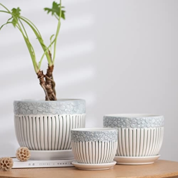 Stylish Ton Sin Grey Flower Pots Set for Indoor and Outdoor Gardening