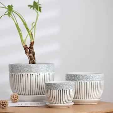 Stylish Ton Sin Grey Flower Pots Set for Indoor and Outdoor Gardening