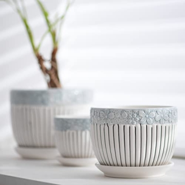 Stylish Ton Sin Grey Flower Pots Set for Indoor and Outdoor Gardening