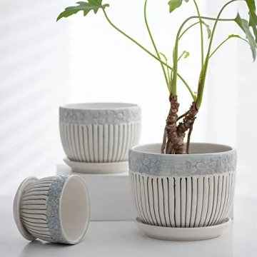 Stylish Ton Sin Grey Flower Pots Set for Indoor and Outdoor Gardening