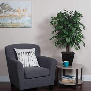 Vickerman Everyday 5' Tall Artificial Potted Real Touch Dracaena Tree - Lifelike Home or Office Deco...