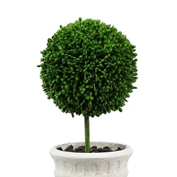 A&B Home 9" Artificial Plants Artificial Boxwood Topiary Tree Artificial Ball Shaped Tree w/White Pulp Pot for Home Décor Indoor Faux Tabletop Plant Set of 2