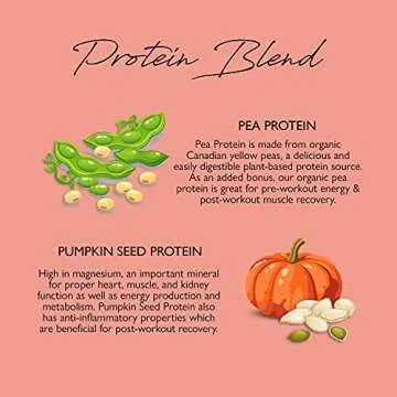 Tone It Up Organic Protein Powder for Women - 15g Protein