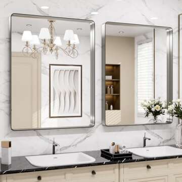LOAAO 30X36 Brushed Nickel Bathroom Mirror for Any Decor