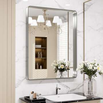 LOAAO 30X36 Brushed Nickel Bathroom Mirror for Any Decor