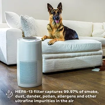 Instant HEPA Quiet Air Purifier for Clean Air Everywhere