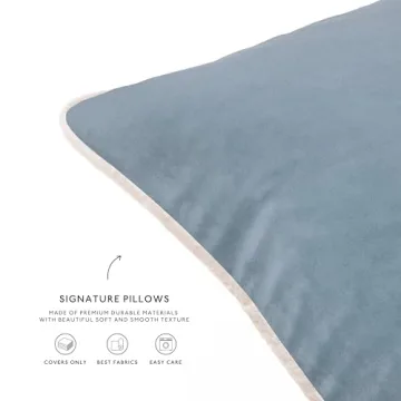 MONDAY MOOSE Decorative Throw Pillow Covers Cushion Cases, Set of 4 Soft Velvet Modern Double-Sided Designs, Mix and Match for Home Decor, Pillow Inserts Not Included (20x20 inch, Beige/Light Blue)