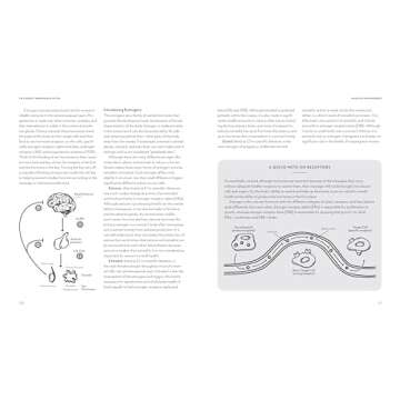 The Great Menopause Myth: The Truth on Mastering Midlife Hormonal Mayhem, Beating Uncomfortable Symptoms, and Aging to Thrive