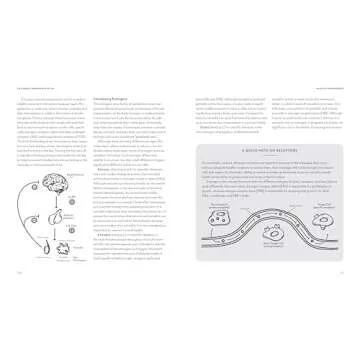 The Great Menopause Myth: The Truth on Mastering Midlife Hormonal Mayhem, Beating Uncomfortable Symptoms, and Aging to Thrive