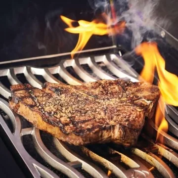 Napoleon Phantom Prestige 500 Grill for Outdoor Cooking