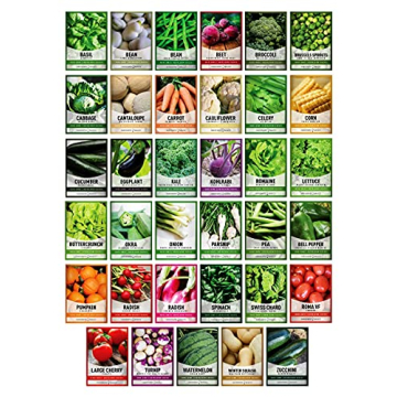 Survival Vegetable Seeds Garden Kit With 16000 Seeds
