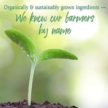 Garden of Life Raw Organic Perfect Food Energizer Juiced Green Superfood Powder - Yerba Mate Pomegranate, & Probiotics, Gluten Free Whole Food Greens Supplements, 30 Servings, 9.73 Oz